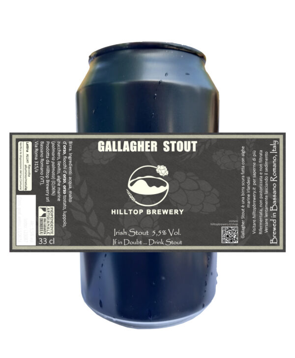 Lattina Gallagher Stout